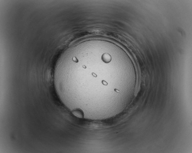 X0000116790420200912311920