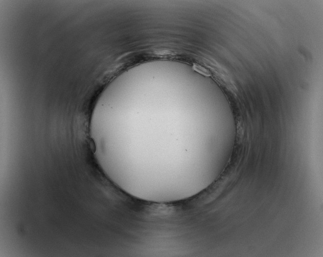 X0000116790421200912311920