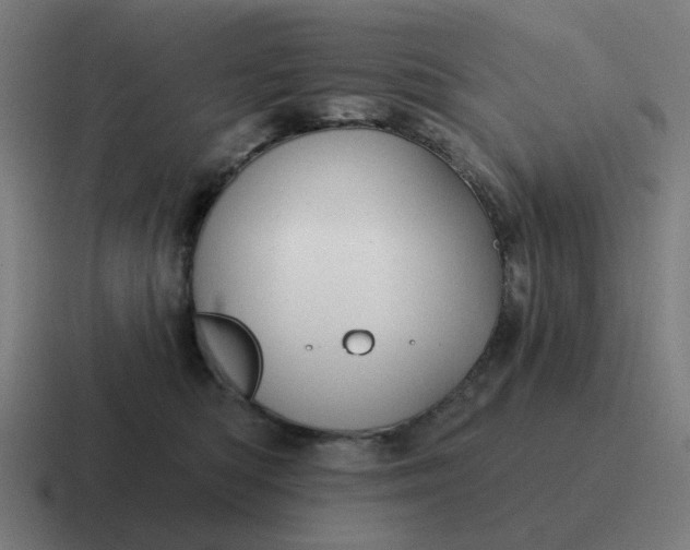 X0000116790422200912311920