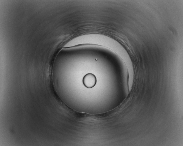 X0000116790423200912311920