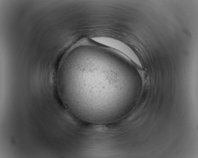 X0000116790424200912311920