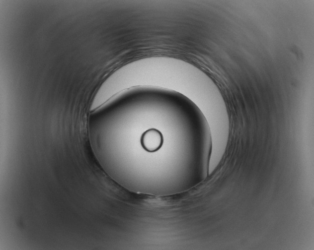 X0000116790425200912311920