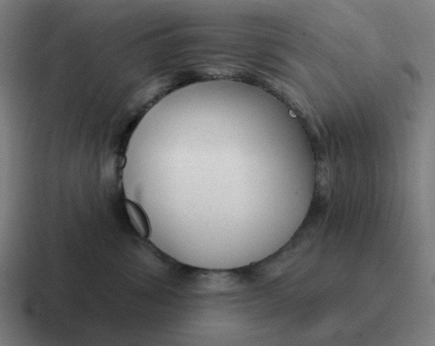 X0000116790428200912311920