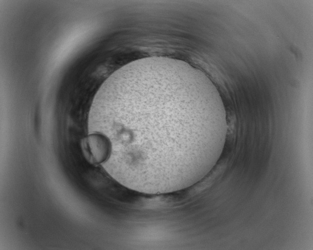 X0000116790430200912311920