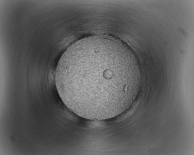 X0000116790432200912311920