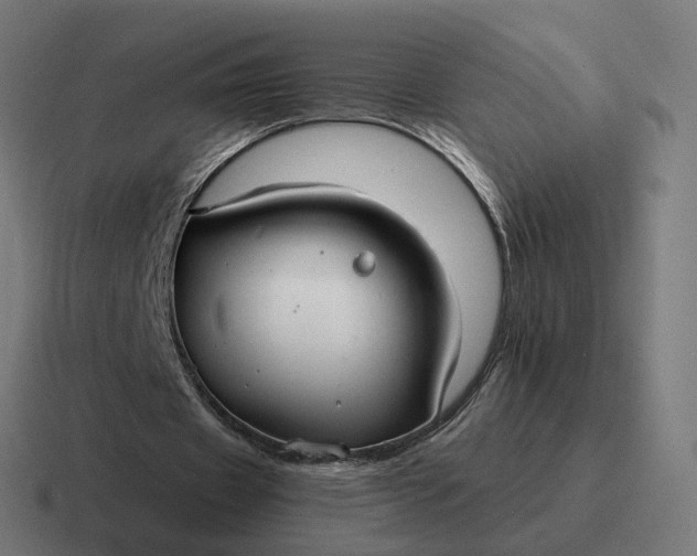 X0000116790433200912311920