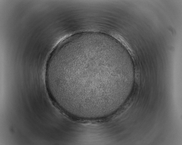 X0000116790434200912311920