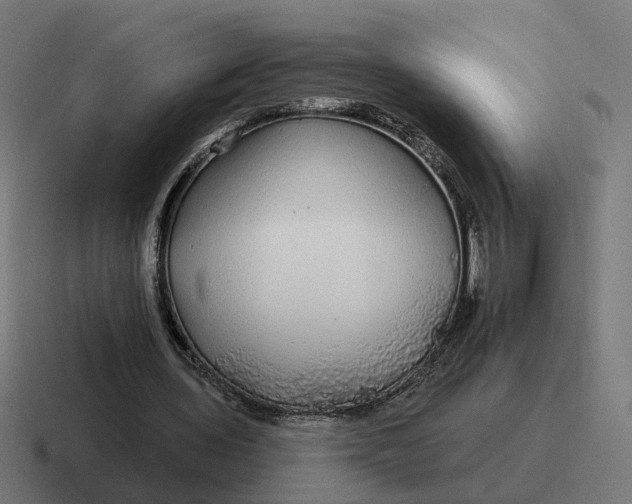 X0000116790435200912311920