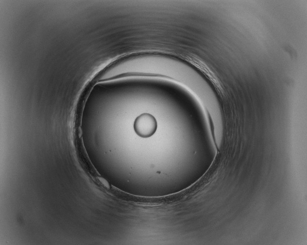 X0000116790436200912311920