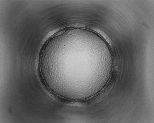 X0000116790437200912311920