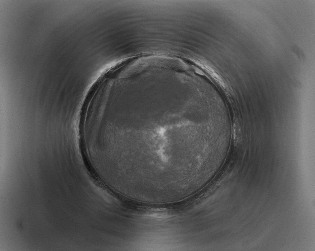 X0000116790438200912311920