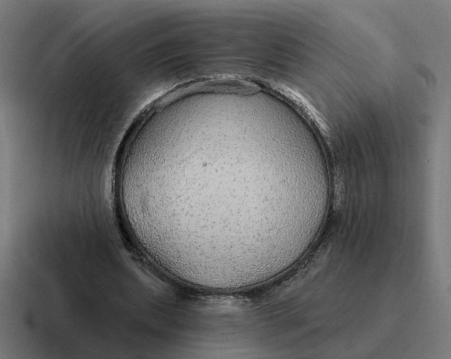 X0000116790439200912311920