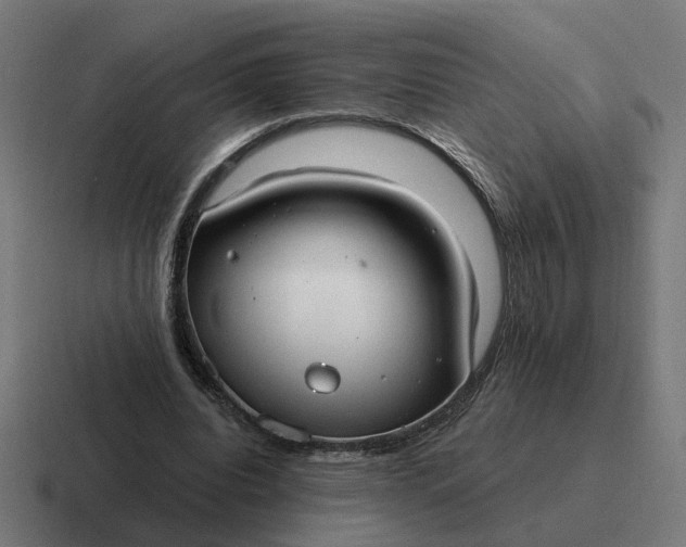 X0000116790440200912311920