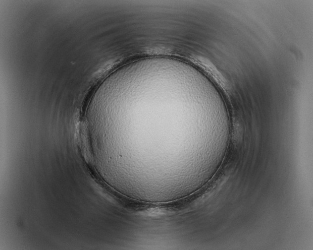 X0000116790441200912311920