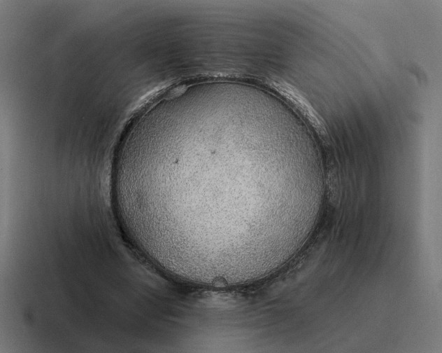 X0000116790442200912311920