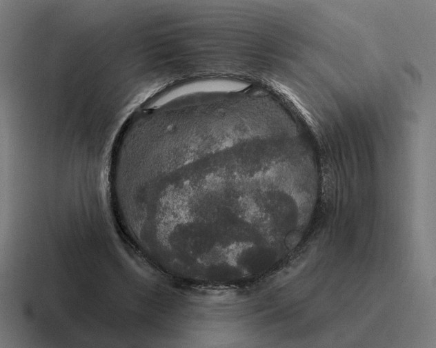 X0000116790443200912311920