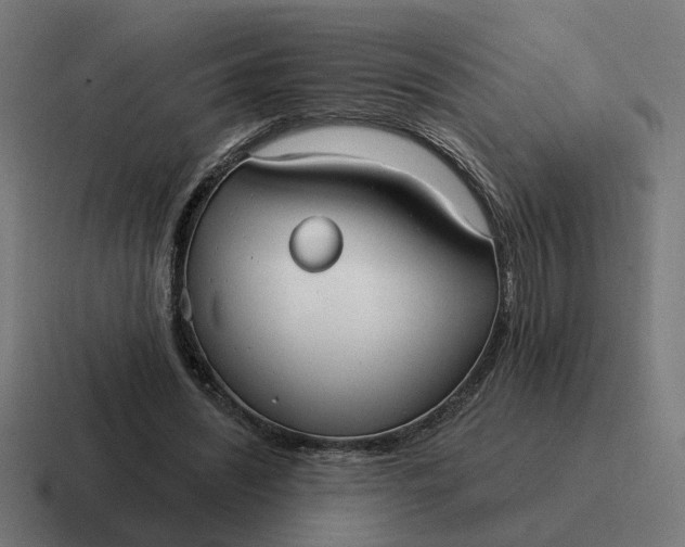 X0000116790444200912311920