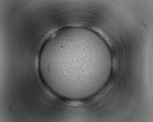 X0000116790445200912311920