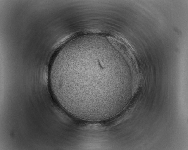 X0000116790446200912311920