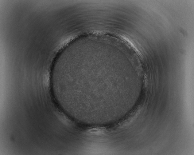 X0000116790447200912311920