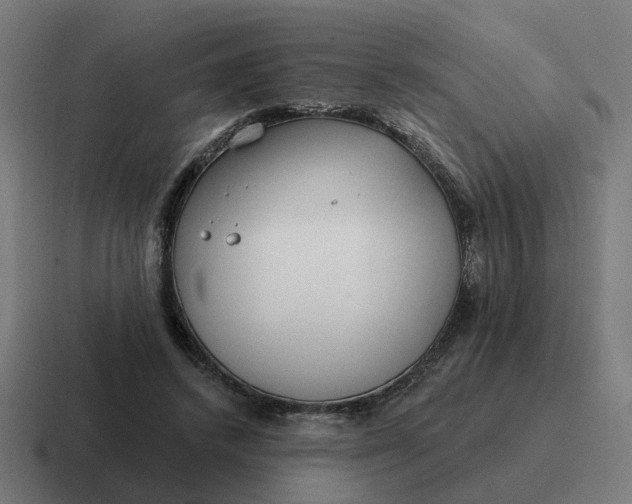 X0000116790448200912311920