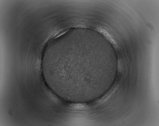 X0000116790449200912311920