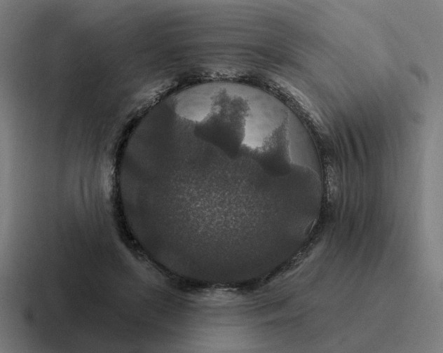 X0000116790451200912311920