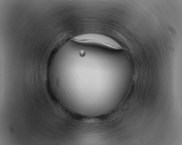 X0000116790452200912311920