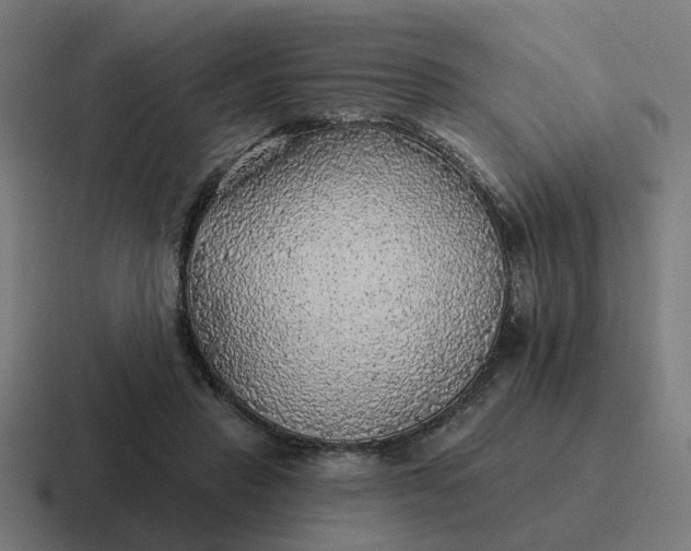 X0000116790453200912311920