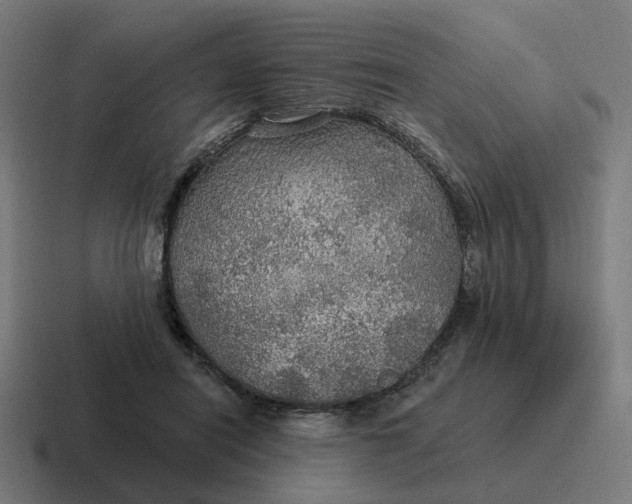 X0000116790454200912311920