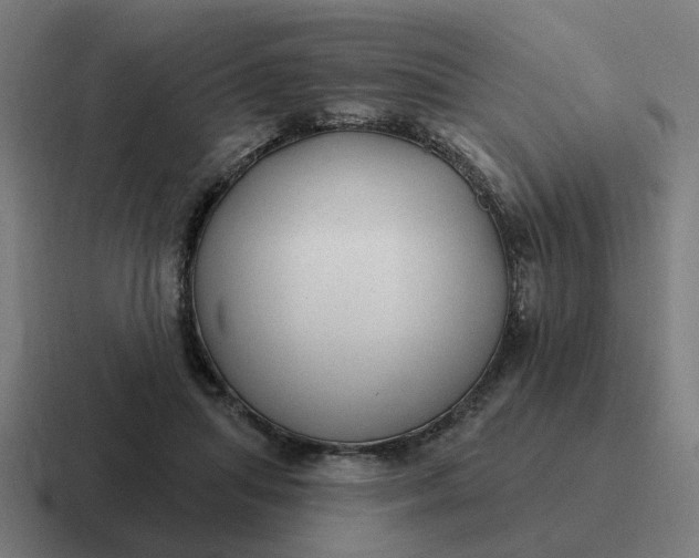 X0000116790455200912311920