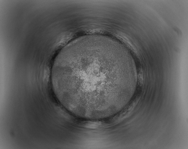 X0000116790458200912311920