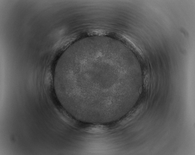 X0000116790459200912311920