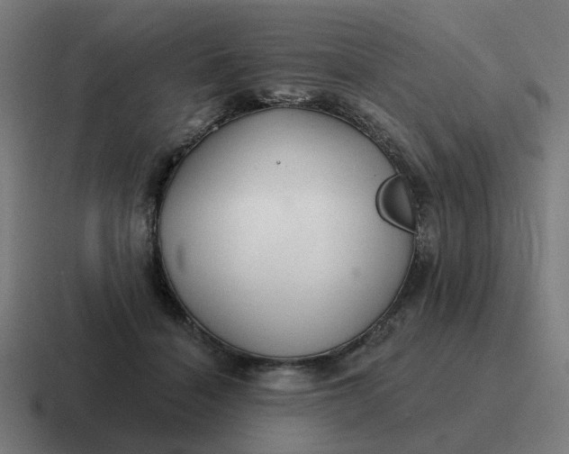 X0000116790460200912311920