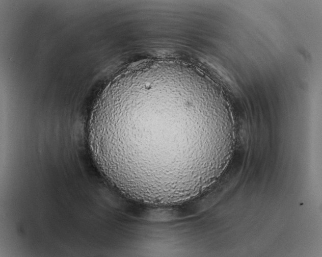 X0000116790461200912311920