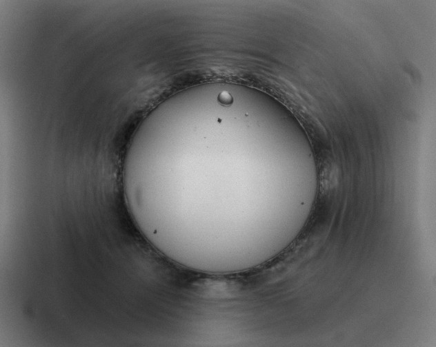 X0000116790464200912311920