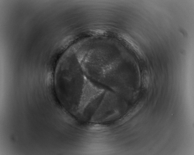 X0000116790467200912311920