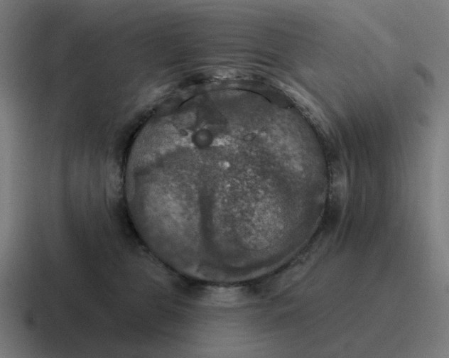 X0000116790469200912311920