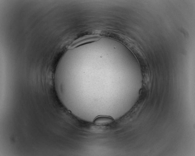 X0000116790470200912311920