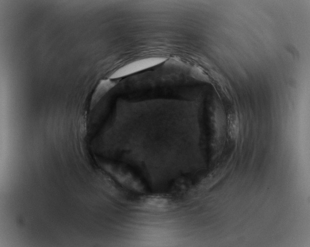 X0000116790471200912311920