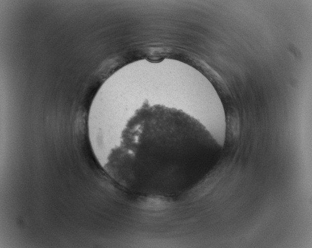 X0000116790475200912311920