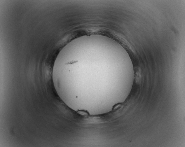 X0000116790476200912311920