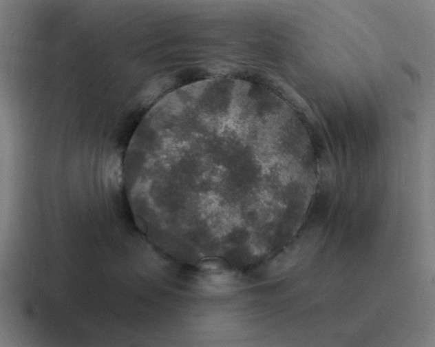 X0000116790479200912311920