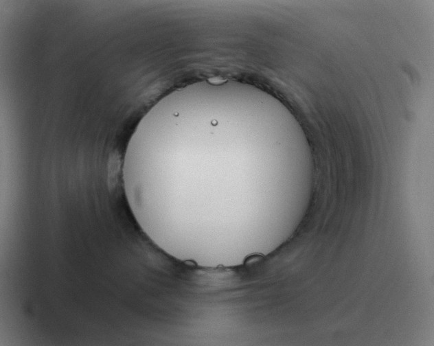 X0000116790480200912311920