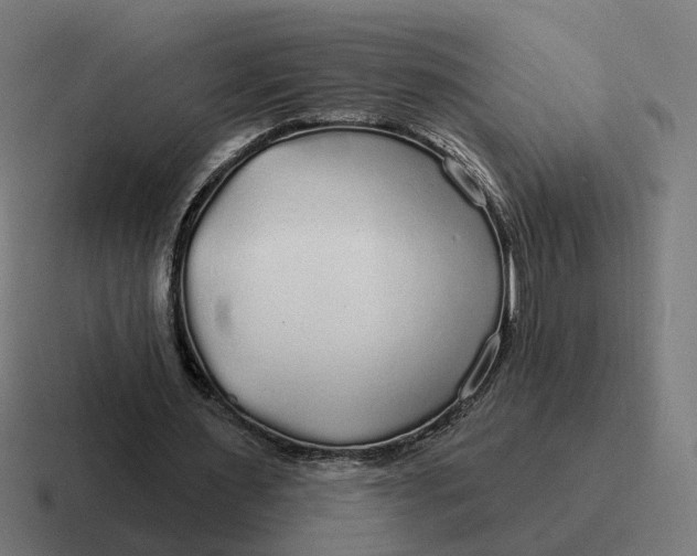 X0000116790483200912311920