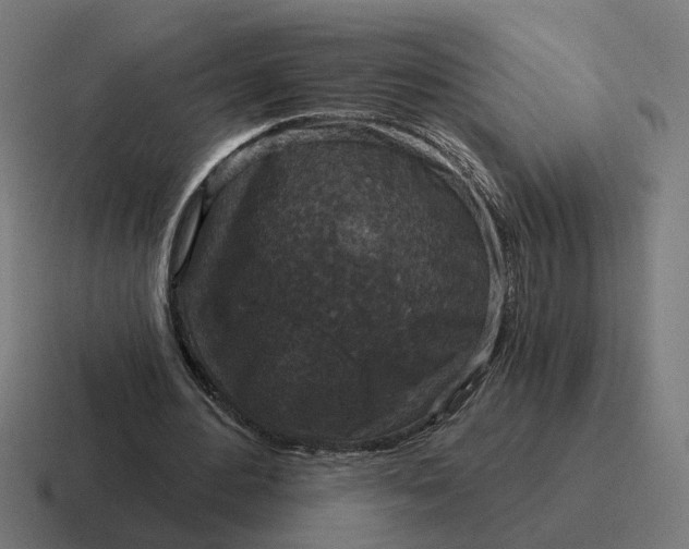 X0000116790484200912311920