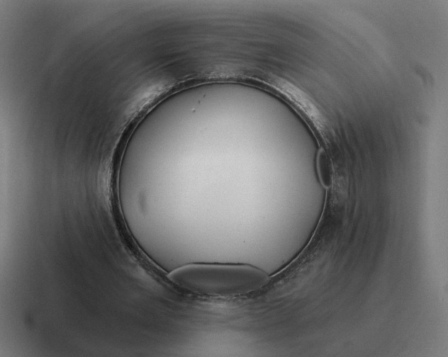 X0000116790485200912311920