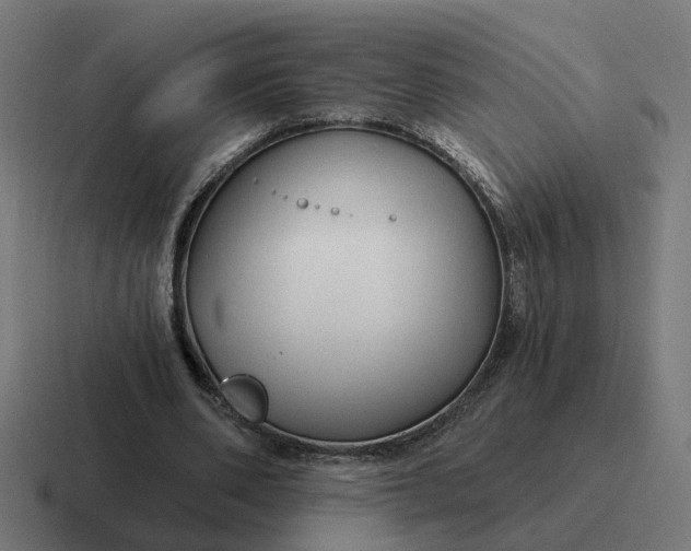 X0000116790486200912311920