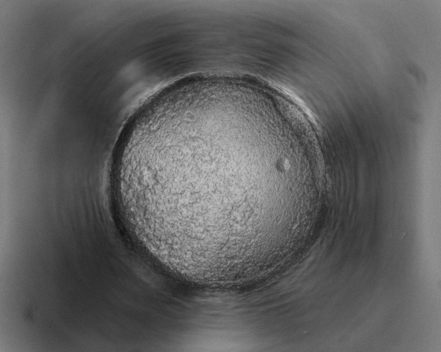 X0000116790487200912311920