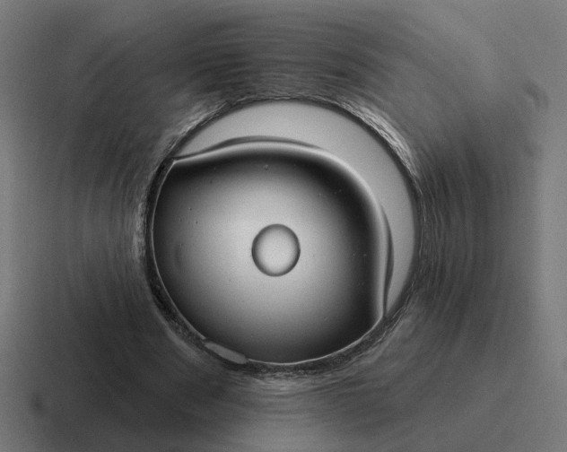 X0000116790489200912311920